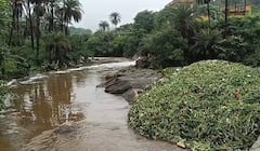 Mount Abu Rain: હિલ સ્ટેશન માઉન્ટ આબુમાં ધોધમાર વરસાદ, સહેલાણીઓ ઉમટી પડ્યા, જુઓ તસવીરો