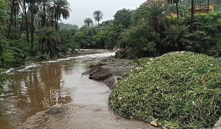 માઉન્ટ આબુ પર્વત પર ભારે વરસાદને કારણે ઝરણાઓ વહેતા થયા હતા. આ ખૂબ જ સુંદર નજારો જોવા માટે લોકો આબુ આવી રહ્યા છે. એકદમ સ્વચ્છ વાતાવરણ વચ્ચે લીલોતરી જોવા મળી રહી છે.