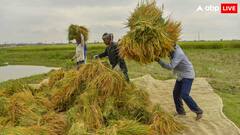 ईरान-इजरायल युद्ध के चलते हरियाणा के लिए खड़ी हुई मुश्किल! रुका इस चीज का एक्सपोर्ट