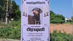 நீயும் எங்களில் ஒருத்தி... வளர்ப்பு நாயை பிராத்தனை செய்து நல்லடக்கம் செய்த முதிய தம்பதி.. தஞ்சையில் நெகிழ்ச்சி