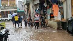 ગુજરાતમાં કાલે મેઘરાજાની તોફાની બેટિંગ: 11 જિલ્લામાં અતિભારે વરસાદનું ઓરેન્જ એલર્ટ, અન્ય 15 જિલ્લામાં ભારે વરસાદની આગાહી