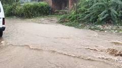 Mehsana Rain: મહેસાણા જિલ્લામાં સવારથી જ અનેક તાલુકાઓમાં ધોધમાર વરસાદ