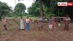 కాడెద్దులుగా మారి గిరిజనుల నిరసన, పరిహారం అందలేదని వాపోయిన రైతులు