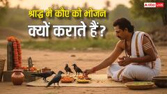 Shradh 2025: श्राद्ध में कौए को भोजन क्यों कराते हैं? जानिए इसके पीछे का धार्मिक महत्व