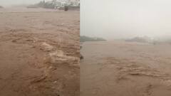 12 ઈંચ વરસાદથી વડાલીમાં જળબંબાકાર, રસ્તાઓ બેટમાં ફેરવાયા, જનજીવન પ્રભાવિત