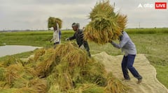 ਈਰਾਨ-ਇਜ਼ਰਾਈਲ ਯੁੱਧ ਨੇ ਵਧਾਈਆਂ ਕਿਸਾਨਾਂ ਤੇ ਵਪਾਰੀਆਂ ਦੀਆਂ ਦਿੱਕਤਾਂ, ਹੋ ਸਕਦਾ ਵੱਡਾ ਨੁਕਸਾਨ, ਸਰਕਾਰ ਵੀ ਪਿੱਛੇ ਖਿੱਚ ਸਕਦੀ ਆਪਣੇ ਹੱਥ !