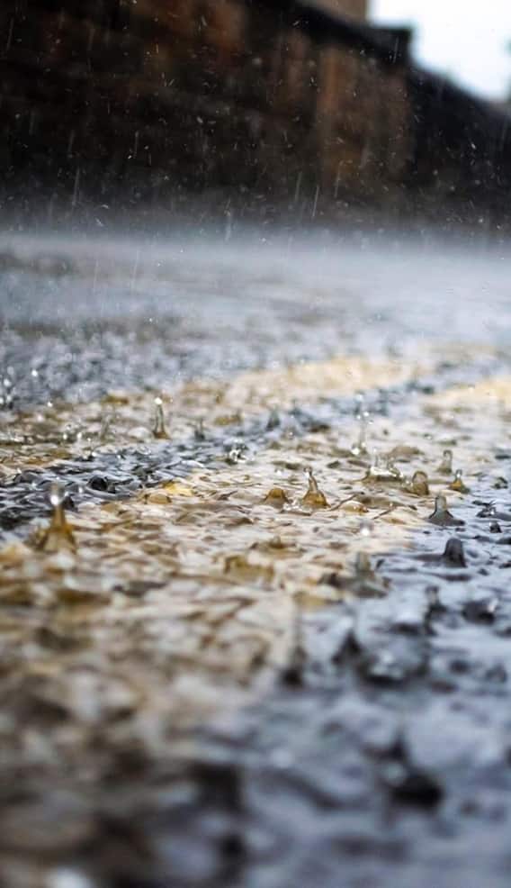 घर के बाहर भर जाए बारिश का पानी तो कहां करें कंप्लेंट?