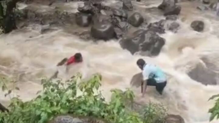 कोल्हापूर शहर परिसरात पावसाची उघडीप असली तरी राधानगरी भुदरगड तालुक्यात पावसाच्या सरी कायम आहेत.