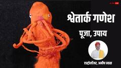 श्वेतार्क गणेश प्रतिमा घर में रखने से क्या होता है ? फायदे जानकर हो जाएंगे हैरान