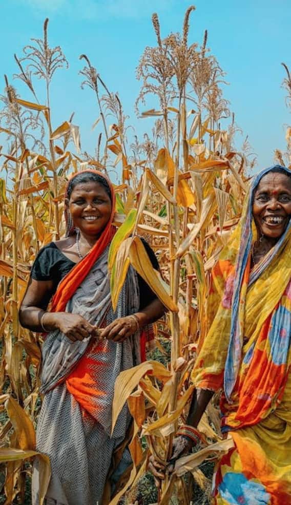 ओडिशा में सबसे ज्यादा किस जाति के लोग रहते हैं?