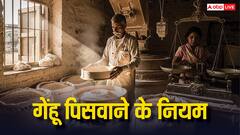 गेहूं पिसवाने के ये नियम जानते हैं आप? जानें शुभ दिन और तरीके