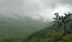 Mount Abu Rain: હિલ સ્ટેશન માઉન્ટ આબુમાં ધોધમાર વરસાદ, સહેલાણીઓ ઉમટી પડ્યા, જુઓ તસવીરો