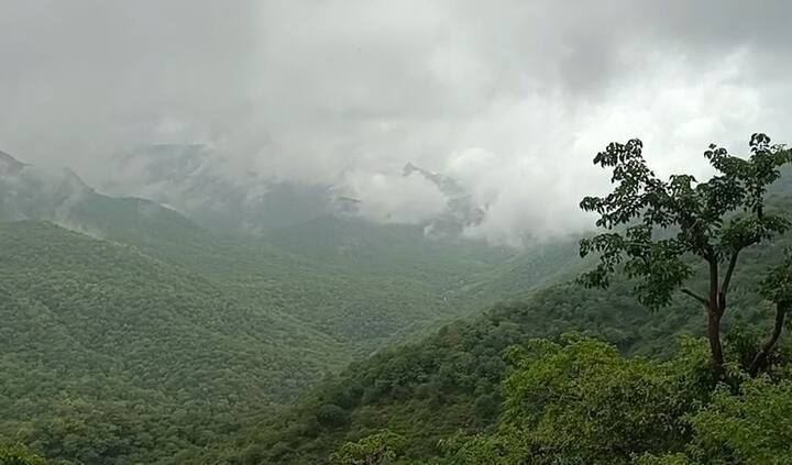 Heavy rain in Mount Abu: ગુજરાતને અડીને આવેલા રાજસ્થાનના હિલ સ્ટેશન માઉન્ટ આબુમાં ધોધમાર વરસાદ વરસ્યો છે. ભારે વરસાદને લઈ રસ્તાઓ ઉપર પાણી ફરી વળ્યા હતા.