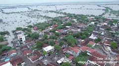 ભાવનગરનો ભાલ પંથક જળબંબાકાર: માનવસર્જિત પૂરે અનેક ગામોને બેટમાં ફેરવ્યા, ગેરકાયદે પાળાથી પાણીનો નિકાલ અટક્યો