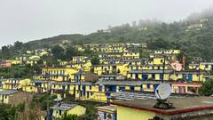 सीएम धामी ने बदली सरकोट गांव की तस्वीर, मशरूम और फलों के लिए देश-दुनिया में नाम