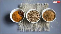 Health Tips : ધાણાનું નિયમિત સેવન કરવાથી શરીરમાં થાય છે આ ચૌંકાવનારા ફેરફાર, જાણો ફાયદા