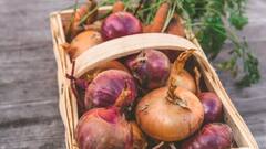 दुनिया में कौन सा देश है प्याज का सबसे बड़ा उत्पादक, भारत का नंबर टॉप 5 में किस स्थान पर?
