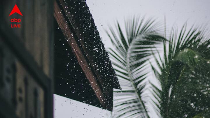 Weather Forecast: দক্ষিণবঙ্গের পাশাপাশি উত্তরবঙ্গের বিভিন্ন জেলাতেও আগামী কয়েকদিন ঝড়বৃষ্টির সম্ভাবনা রয়েছে।