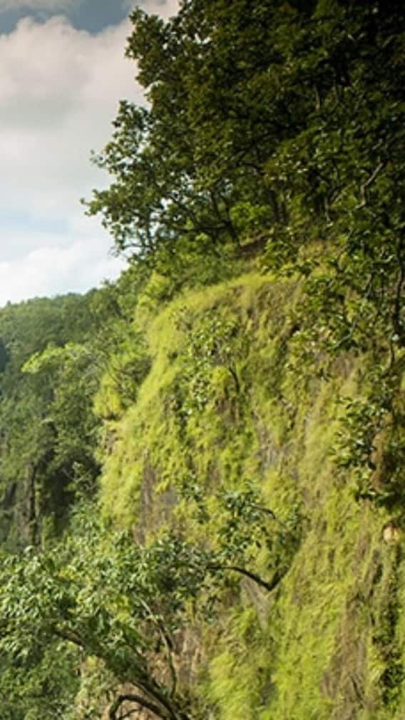 मध्य प्रदेश की सबसे ठंडी जगहें कौन-सी हैं?