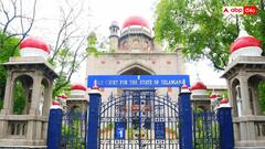 స్థానిక ఎన్నికల నిర్వహణకు మరో 60 రోజులు గడువు కావాలన్న ప్రభుత్వం - తీర్పు రిజర్వ్