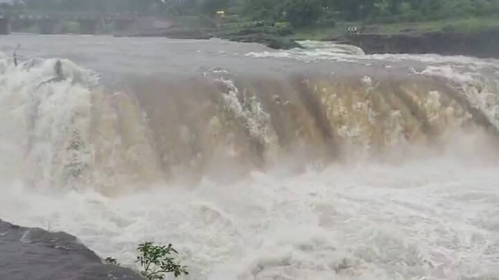 राज्यात यंदा मे महिन्याच्या शेवटच्या आठवड्यातच मुसळधार पाऊस पडल्याने सर्वत्र पाणीच पाणी पाहायला मिळत आहे. त्यात, गेल्या आठवडाभरातही पाऊस चांगला झाला आहे.