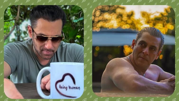Salman Khan ने बिना बोले ही दिया ट्रोलर्स को करारा जवाब, सिर्फ एक फोटो डालकर मचाई खलबली