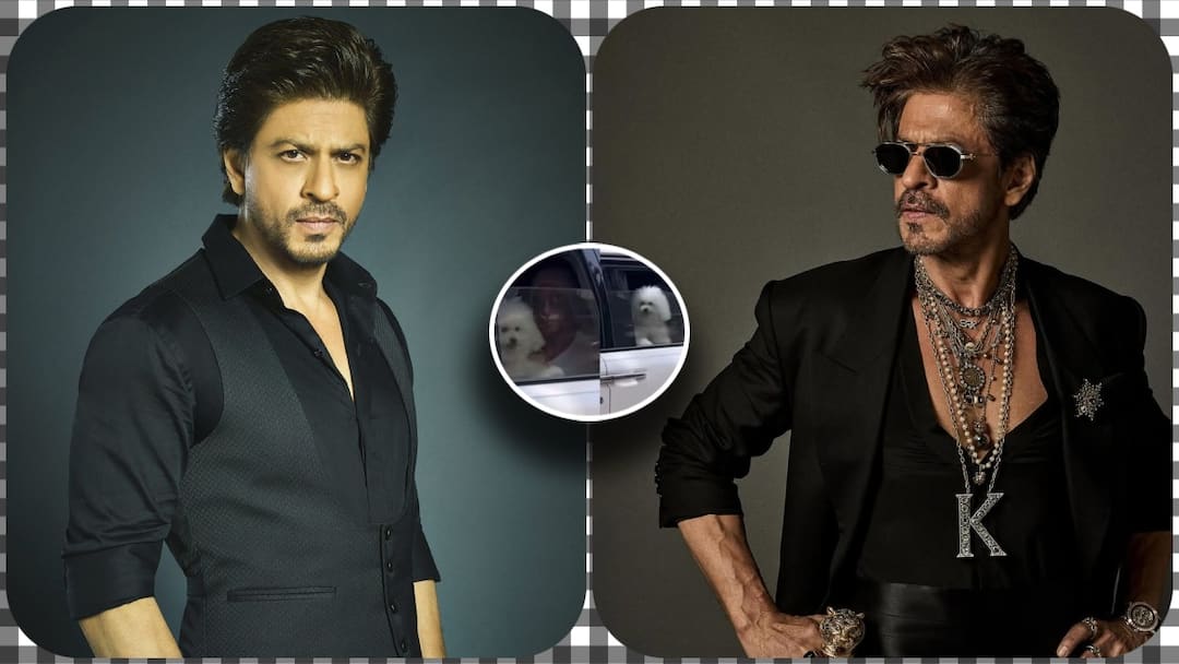 jawan fame shahrukh khan bollywood spotted mumbai streets with his cute little dog Viral Video: शाहरुख खान का डॉगी बना स्टार, मुंबई वॉक पर निकला, लूटी सारी लाइमलाइट