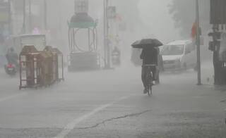 Gujarat Rain: આગામી 3 કલાક આ જિલ્લાઓ માટે ભારે, હવામાન વિભાગે ભારે વરસાદને લઈ આપ્યું રેડ એલર્ટ 