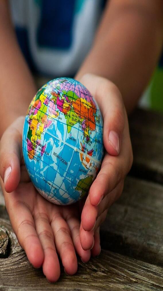 भारत करतो इराणमधून या गोष्टी आयात