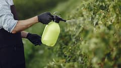 India’s Fertiliser Industry Gears Up For Green Revolution With SECI’s Big Ammonia Tender