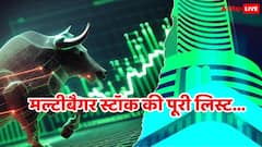 यहां मिलेंगे टोकरी भर के मल्टीबैगर स्टॉक्स, 2025 में कोई 200% भागा तो किसी ने 400 फीसदी का दिया रिटर्न
