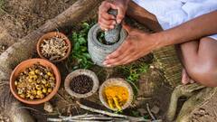 Millennials, Gen Z Drive Boom In India’s Herbal OTC Market Amid Regulatory Hurdles