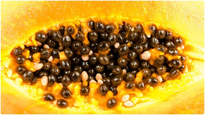 రుచిగల పండ్లలో బొప్పాయి ఒకటి. అయితే బొప్పాయి పండుతో పాటు వాటి గింజలు కూడా ఆరోగ్యానికి మంచివట. ఎందుకంటే వీటిలో పాపైన్ ఉంటుంది. ఇది జీర్ణ సమస్యలను దూరం చేసి.. గట్ హెల్త్​ని ప్రమోట్ చేస్తుంది.