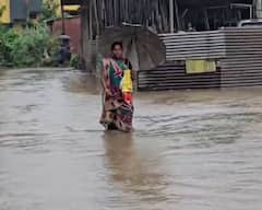 Gujarat Rain: રાજ્યમાં વરસાદનું એલર્ટ; 13 જિલ્લામાં ઓરેન્જ, 23 જિલ્લામાં યલો એલર્ટ, આજથી 4 દિવસ ભારે વરસાદની આગાહી