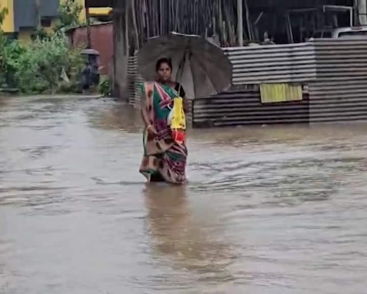 આવતીકાલ (જૂન 24) માટે યલો એલર્ટ: હવામાન વિભાગ દ્વારા આવતીકાલ, જૂન 24 માટે રાજ્યના કુલ 23 જિલ્લાઓ અને સંઘ પ્રદેશોમાં વરસાદનું યલો એલર્ટ જાહેર કરવામાં આવ્યું છે. આ જિલ્લાઓમાં સૌરાષ્ટ્ર: રાજકોટ, જૂનાગઢ, ગીર સોમનાથ, અમરેલી, બોટાદ, ભાવનગર. મધ્ય ગુજરાત: અમદાવાદ, ગાંધીનગર, અરવલ્લી, ખેડા, આણંદ, મહીસાગર, પંચમહાલ, દાહોદ, વડોદરા, છોટા ઉદેપુર. દક્ષિણ ગુજરાત અને સંઘ પ્રદેશ: ભરૂચ, નર્મદા, તાપી, સુરત, નવસારી, ડાંગ, વલસાડ, દીવ, દમણ અને દાદરાનગર હવેલીનો સમાવેશ થાય છે.