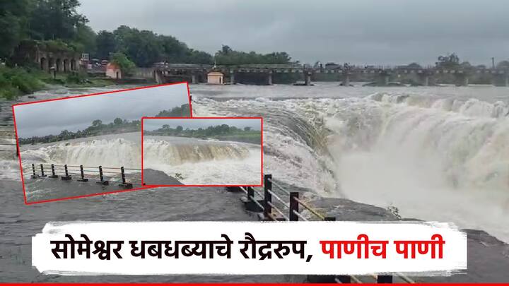 राज्यात यंदा मे महिन्याच्या शेवटच्या आठवड्यातच मुसळधार पाऊस पडल्याने सर्वत्र पाणीच पाणी पाहायला मिळत आहे. त्यात, गेल्या आठवडाभरातही पाऊस चांगला झाला आहे.