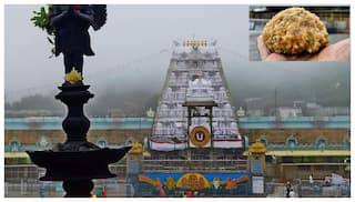 Tirumala Laddu: తిరుమలలో లడ్డూ కొనుగోలుకు సరికొత్త ప్రయోగం - రద్దీ నియంత్రణకు చర్యలు