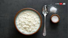 दही खाने के शौकीन अक्सर गर्मी में कर बैठते हैं ये गलती, पेट और बालों पर दिखता है असर