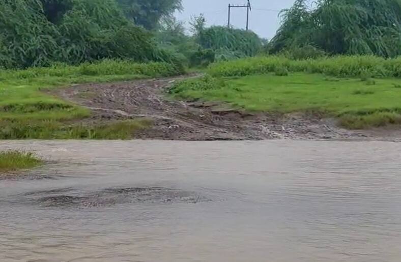 Rain Update: ભરૂચમાં મૂશળધાર વરસાદથી જળબંબાકાર, સેવાશ્રમ સહિતના રોડમાં ઘૂંટણસમા પાણી