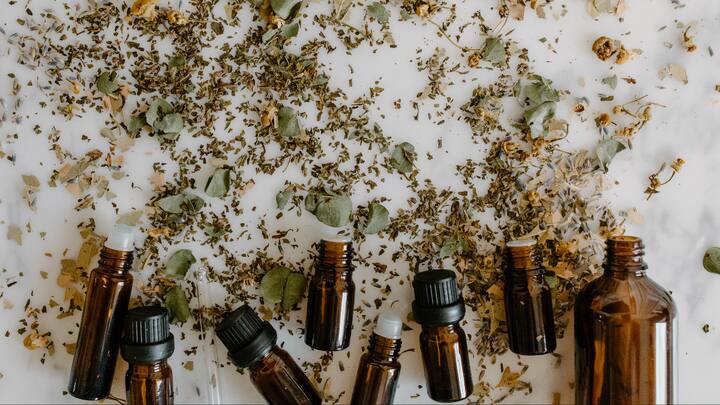 5. Use Fragrance And Dehumidifiers: Musty odours thrive in balmy and closed spaces. Keep them at bay with natural fresheners like camphor, bamboo charcoal bags, or a few drops of essential oil in an open dish. For extra protection, place a small portable dehumidifier or moisture-absorbing gel pouches in wardrobes and drawers. These help safeguard your clothes, books, and other valuables from mold and dampness. (Image Source: Canva)