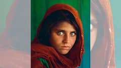 Sharbat Gula: ভয় ধরানো চাহনিই পরিচয়, তাঁর ছবি বেচে কোটিপতি অন্যরা, অন্ধকার গ্রাস করে আফগান-কন্যা শরবত গুলাকে