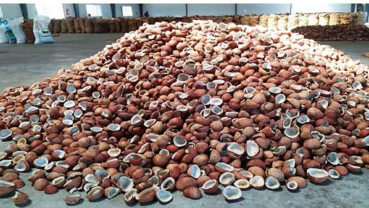 கொப்பரை உற்பத்தி குறைந்தது... தேங்காய் எண்ணெய் விலை உயர்வால் நடுத்தர மக்கள் வேதனை