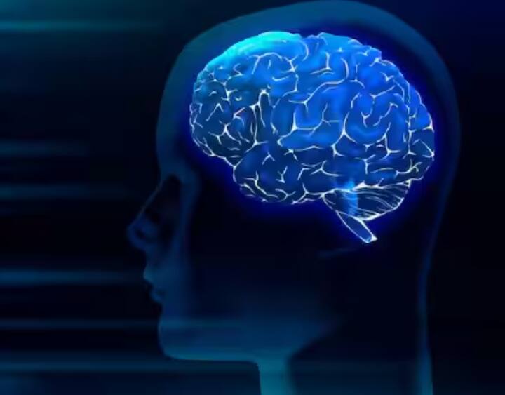 ਦਿਮਾਗੀ ਸ਼ਕਤੀ ਵਧਾਉਂਦਾ: ਘਿਓ ਓਮੇਗਾ-3 ਅਤੇ ਓਮੇਗਾ-6 ਫੈਟੀ ਐਸਿਡ ਨਾਲ ਭਰਪੂਰ ਹੁੰਦਾ ਹੈ, ਜੋ ਨਿਊਰੋਨਸ ਨੂੰ ਮਜ਼ਬੂਤ ਬਣਾਉਂਦੇ ਹਨ। ਇਸ ਦੇ ਸੇਵਨ ਨਾਲ ਯਾਦਦਾਸ਼ਤ ਸ਼ਕਤੀ ਵਧਦੀ ਹੈ ਅਤੇ ਤਣਾਅ ਘੱਟ ਹੁੰਦਾ ਹੈ।