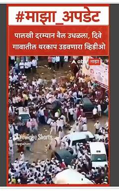 Dive Ghat : पालखी दरम्यान बैल उधळला, दिवे गावातील थरकाप उडवणारा व्हिडीओ