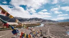 Sharbat Gula: ভয় ধরানো চাহনিই পরিচয়, তাঁর ছবি বেচে কোটিপতি অন্যরা, অন্ধকার গ্রাস করে আফগান-কন্যা শরবত গুলাকে