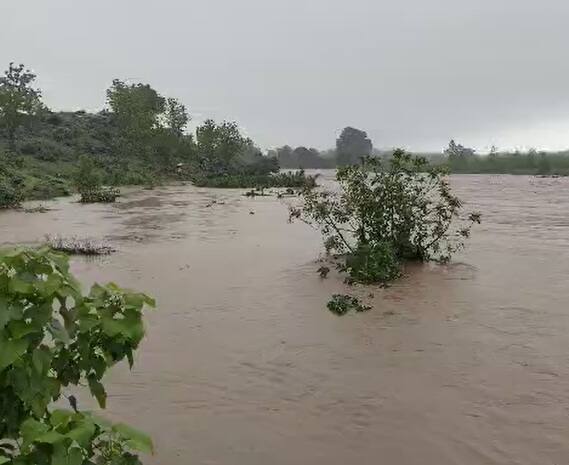 નોંધનિય છે કે,  સુરત જિલ્લાની શાળાઓમાં આજે સવારની પાળીમાં રજા બપોરની પાળીમાં સ્થિતિની સમીક્ષા બાદ નિર્ણય લેવા DEOની સૂચના અપાઇ છે. જો કે સુરત શહેર- જિલ્લામાં બોર્ડની પૂરક પરીક્ષા રાબેતા મુજબ લેવાશે. બાળકો મુશ્કેલીમાં ન મૂકાય તેને લઈને તકેદારી રાખવા DEOની સૂચના અપાઇ છે