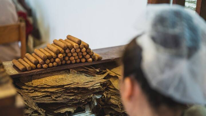 तंबाकू की खपत साल दर साल बढ़ती जा रही है और लोग हैं कि इसको छोड़ने का नाम नहीं ले रहे हैं. बल्कि नशे के सौदागर और नशा करने वाले दोनों ही बढ़ रहे हैं.