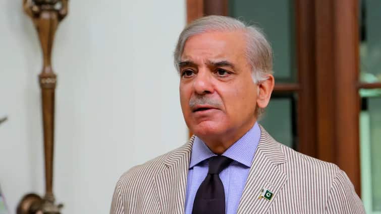 pakistan criticizes india diplomatic aggression water rights fatf dialogue operation Sindoor Indus water treaty घड़ियाली आंसू बहाकर लौटे बिलावल भुट्टो की शहबाज शरीफ ने थपथपाई पीठ, पीएम मोदी के लिए ये क्या कह गए?