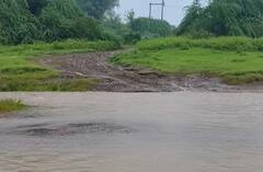 Weather Rain Forecast: 27 જૂન સુધી રાજ્યના આ જિલ્લામાં ભારે વરસાદની આગાહી, હવામાન વિભાગનું એલર્ટ