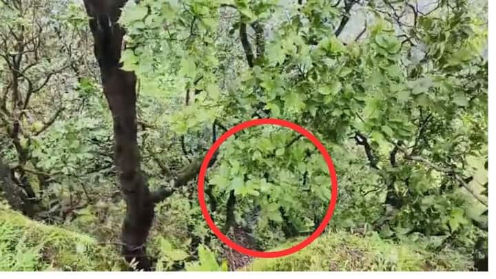 अशातच रामचंद्र यांची गाडी तीन-चार दिवसांपासून जुन्नरमधील कोकण कड्यावर उभी असल्याचे, तसेच तिथंच पायातील चपला जोड आढळून आल्याने ग्रामस्थांचा संशय बळावला होता. त्यानुसार कड्याच्या खोल दरीत शोध घेतला असता सुमारे बाराशे फुटावर मृतदेह आढळले.